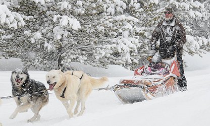 DOGSLEDDING